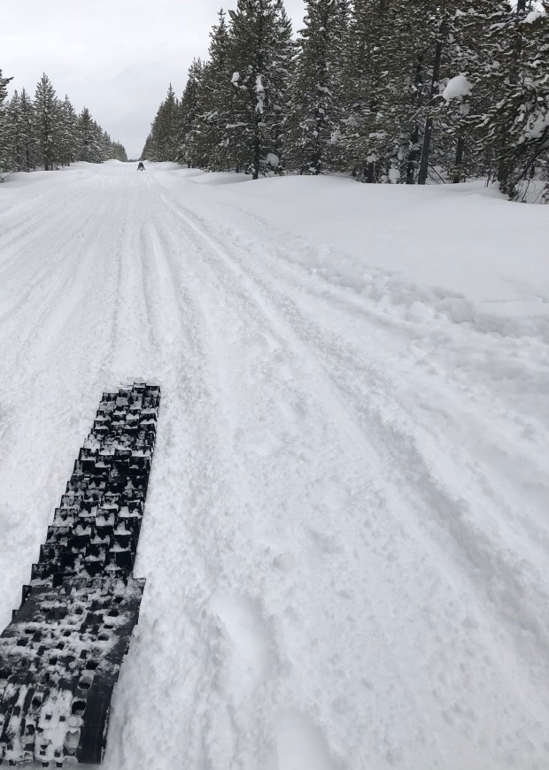 481978B1-A3A2-4C64-9B31-9107FDF94342